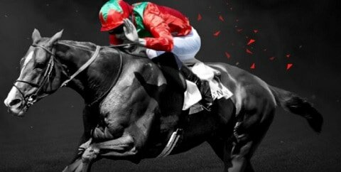 bet365 Best odds Guaranteed - Horses