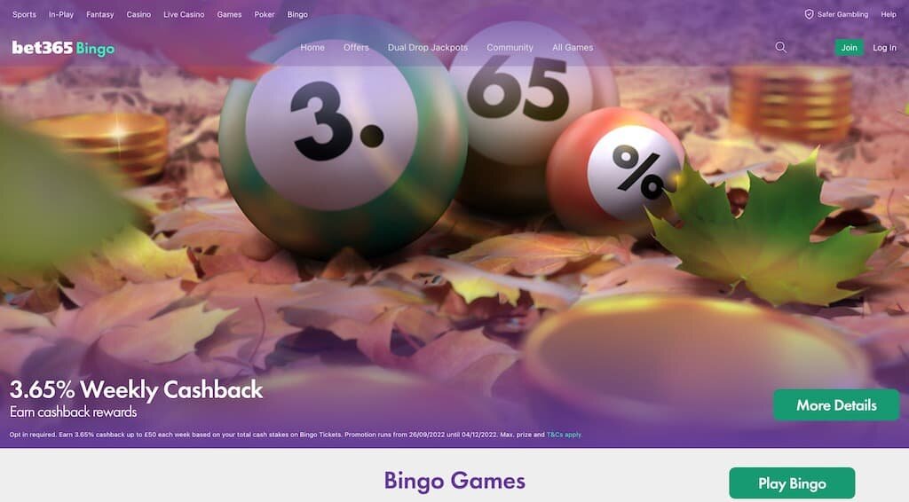 bet365 casino bingo