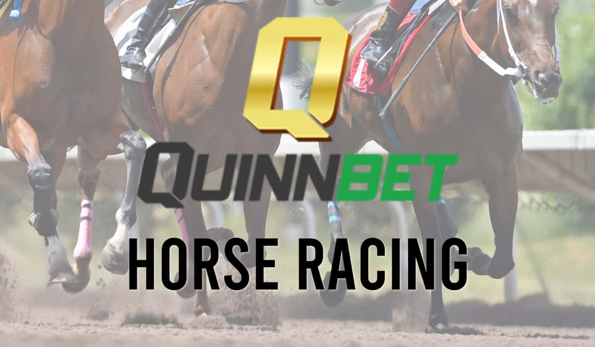 QuinnBet Money Back if Second to the SP Favourite